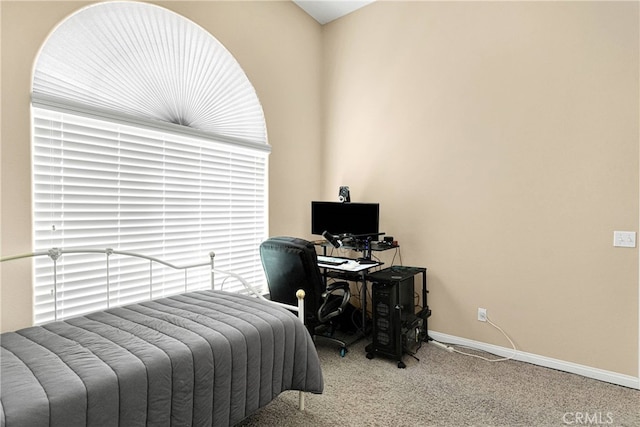 bedroom with carpet