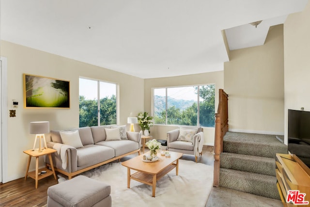 living room featuring hardwood / wood-style flooring