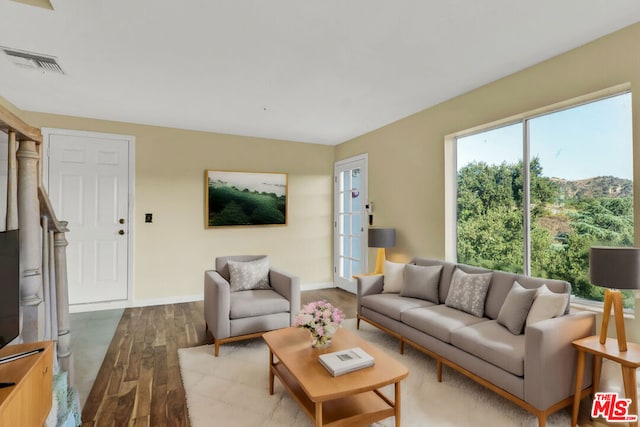 living room with wood-type flooring