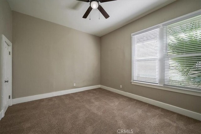 spare room featuring ceiling fan, plenty of natural light, and carpet floors