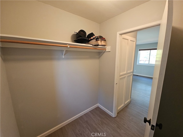 spacious closet with hardwood / wood-style flooring