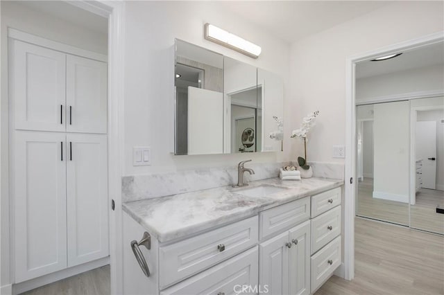 bathroom featuring wood-type flooring and vanity