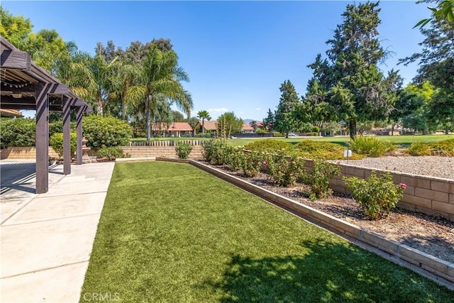 view of yard with a patio area