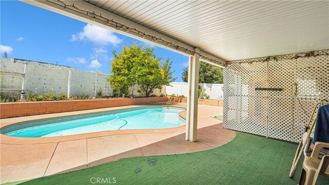 view of pool featuring a patio area