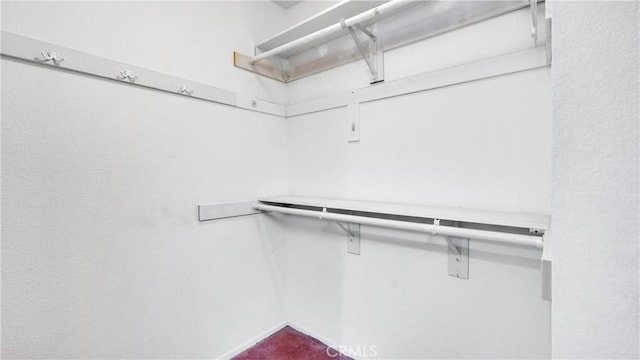 spacious closet with carpet floors