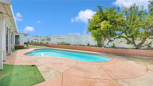 view of swimming pool with a patio area