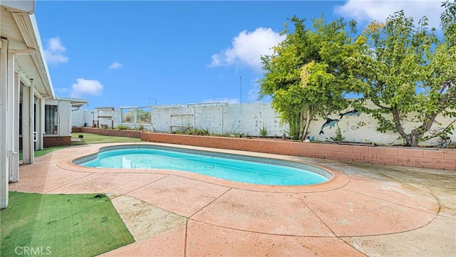 view of pool with a fenced backyard, a patio area, and a fenced in pool