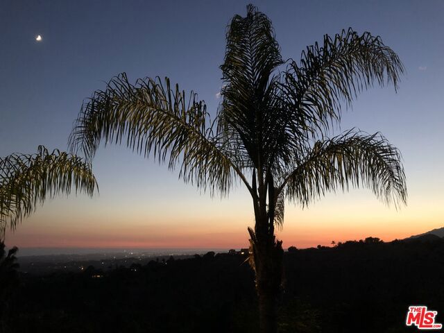 view of nature at dusk