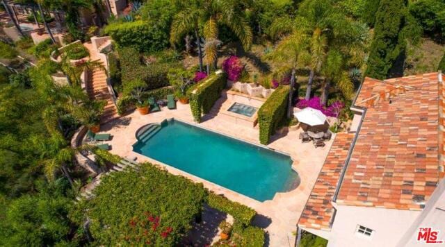 view of swimming pool with a patio