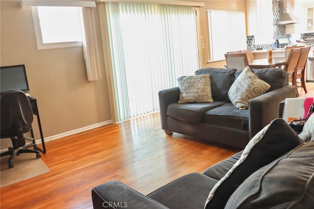 living room featuring light hardwood / wood-style floors and a healthy amount of sunlight