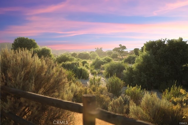 view of nature at dusk