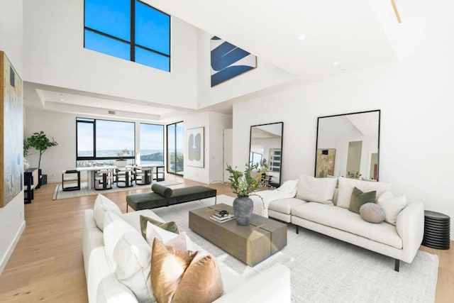 living room with a raised ceiling, light hardwood / wood-style flooring, and a high ceiling