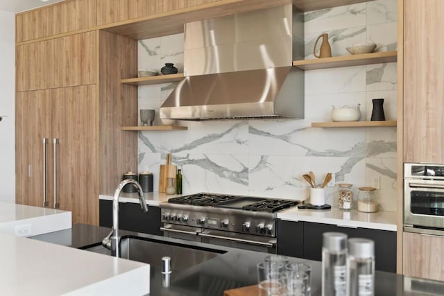 kitchen with backsplash, ventilation hood, stainless steel appliances, and sink