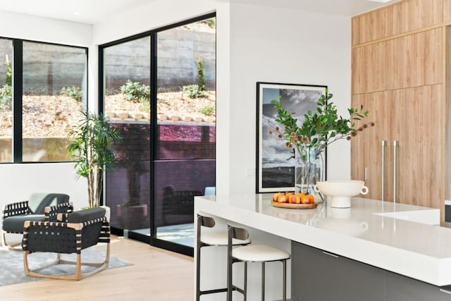 interior space featuring light hardwood / wood-style floors