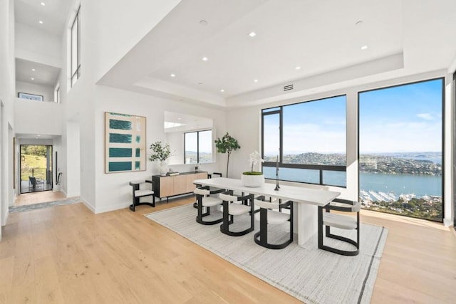 dining room featuring light hardwood / wood-style flooring, a tray ceiling, plenty of natural light, and a water view