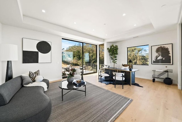 living room featuring a raised ceiling and light hardwood / wood-style floors