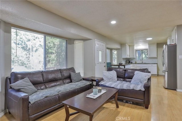 living room featuring light wood-type flooring and sink