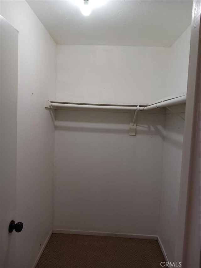 walk in closet with carpet