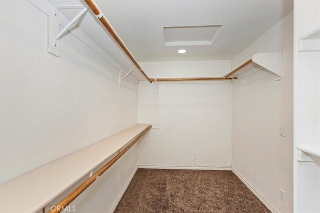 walk in closet with dark carpet