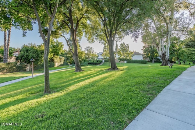 view of home's community with a lawn