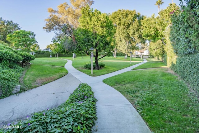 surrounding community featuring a lawn