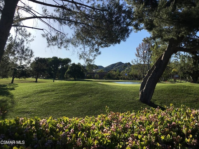 view of property's community with a mountain view and a yard