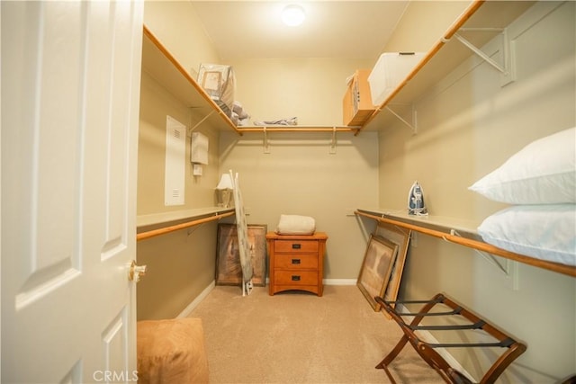 walk in closet with light colored carpet