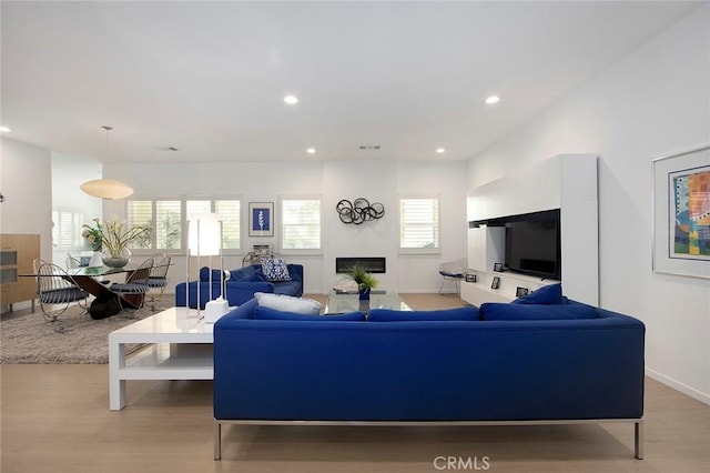 living room with light hardwood / wood-style flooring and plenty of natural light