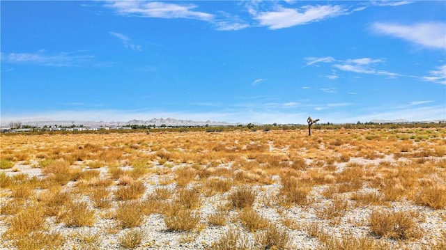 33633 Old Woman Spring Rd, Lucerne Valley, CA 92356 - photo 21