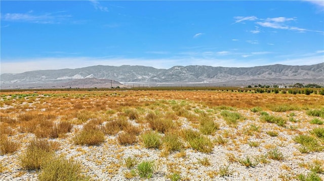 33633 Old Woman Spring Rd, Lucerne Valley, CA 92356 - photo 22