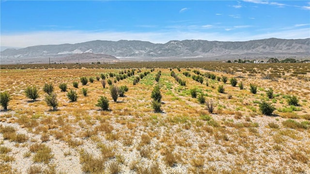 33633 Old Woman Spring Rd, Lucerne Valley, CA 92356 - photo 20