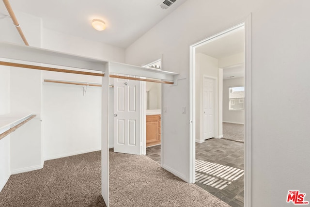 spacious closet featuring carpet flooring