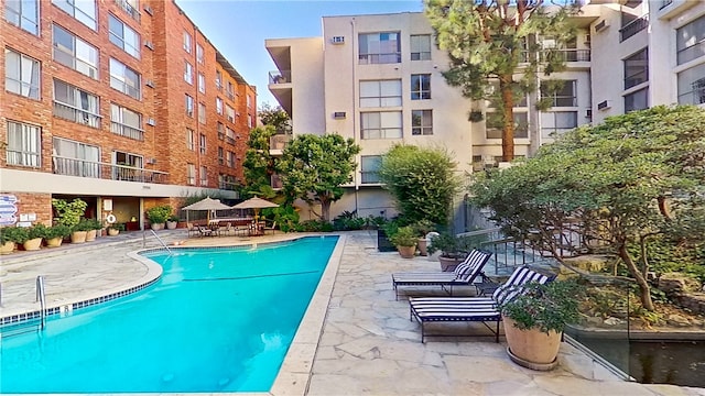 view of pool featuring a patio