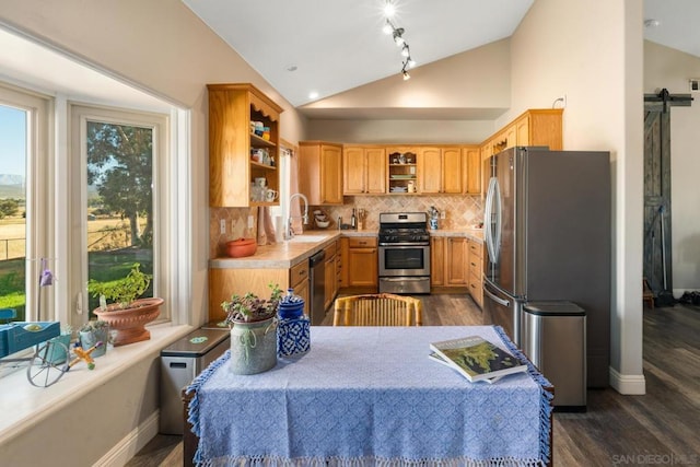 kitchen with vaulted ceiling, a barn door, dark hardwood / wood-style flooring, stainless steel appliances, and sink