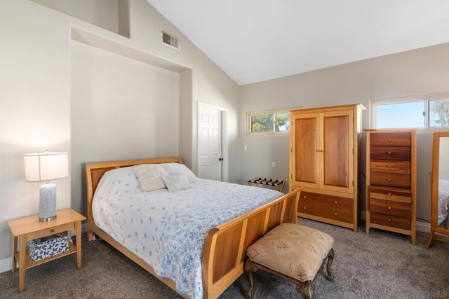 bedroom with lofted ceiling, carpet, and multiple windows