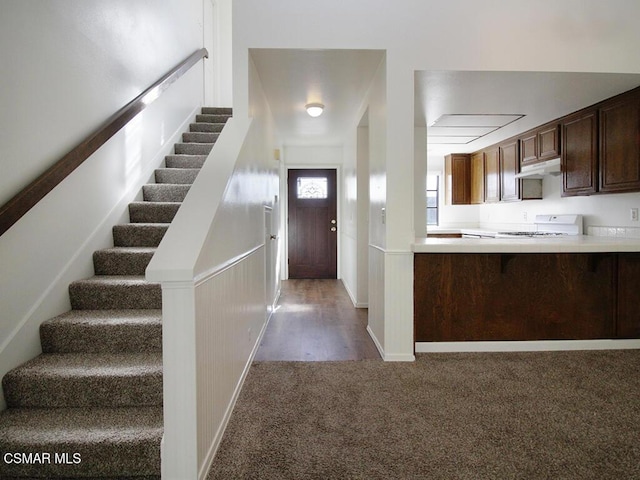 kitchen with dark brown cabinetry, dark wood-type flooring, and white range