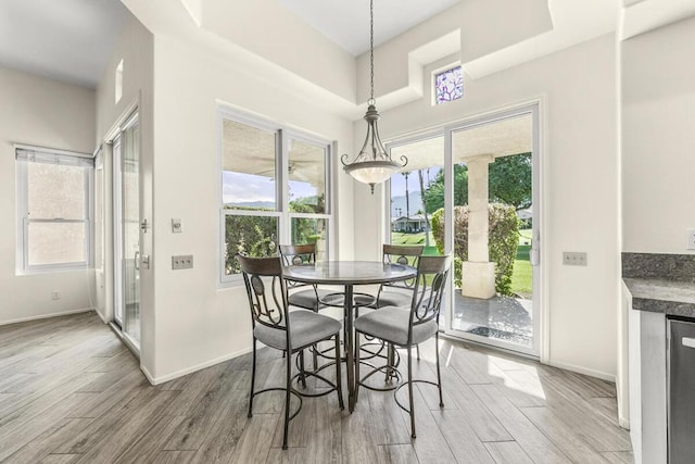 dining room featuring hardwood / wood-style floors