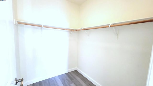 spacious closet featuring hardwood / wood-style flooring