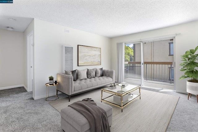 living room with carpet and a textured ceiling