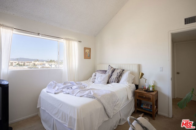 carpeted bedroom with a textured ceiling and lofted ceiling