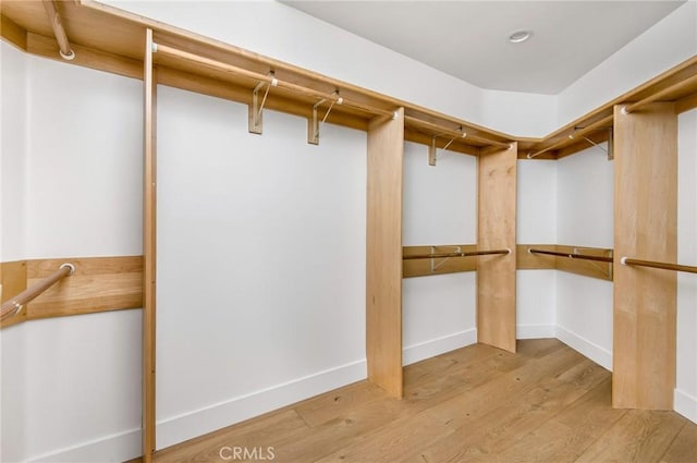 walk in closet featuring wood finished floors