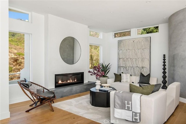 living room featuring a glass covered fireplace, wood finished floors, and baseboards