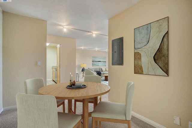 carpeted dining room with electric panel and rail lighting