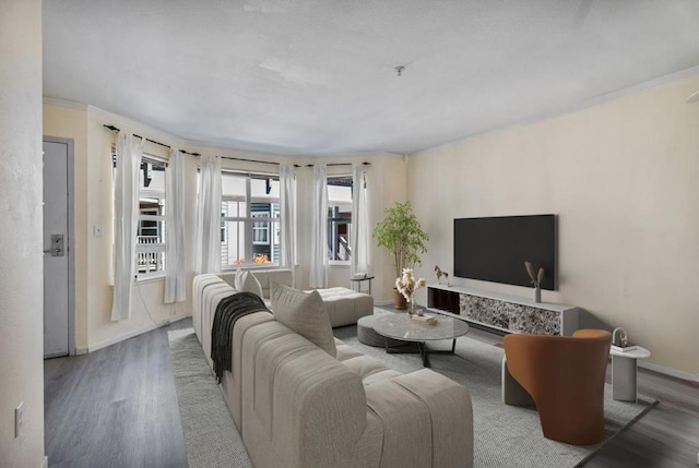 living room featuring ornamental molding and hardwood / wood-style floors