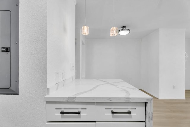 bathroom with hardwood / wood-style floors and electric panel