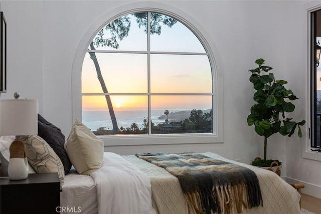 bedroom featuring a water view