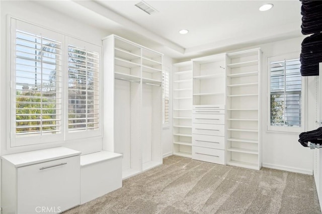 spacious closet featuring light colored carpet