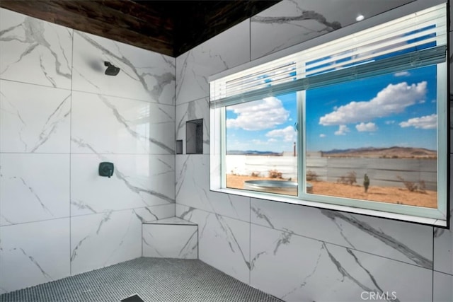 bathroom with a shower