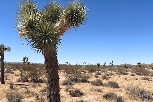 2814 Yucca Mesa Rd, Yucca Valley CA, 92284 land for sale