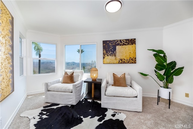 sitting room featuring carpet and crown molding